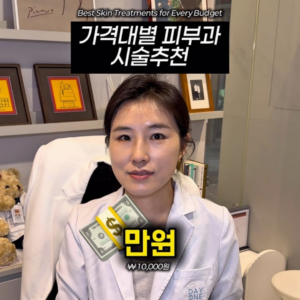 가격대별 피부과 시술 추천